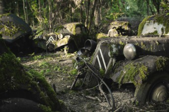 Citroen car graveyard