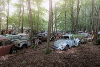 VW Beetle Graveyard